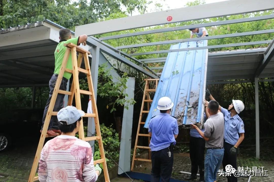 【昌江访谈】对话区城管局：以零容忍态度打击“两违”不歇气！