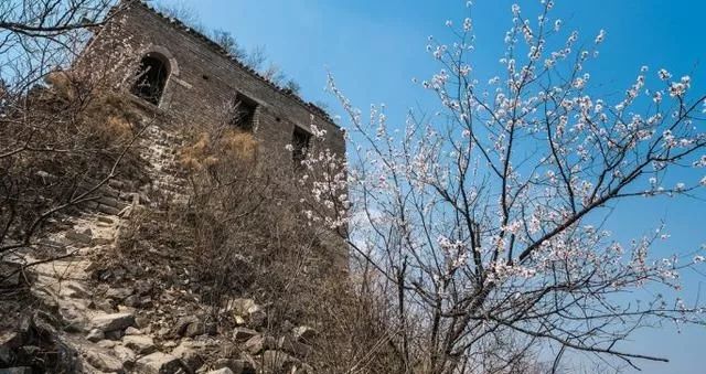 到了京郊这些花开四溢的“仙境”，您简直可以把日子过成诗！