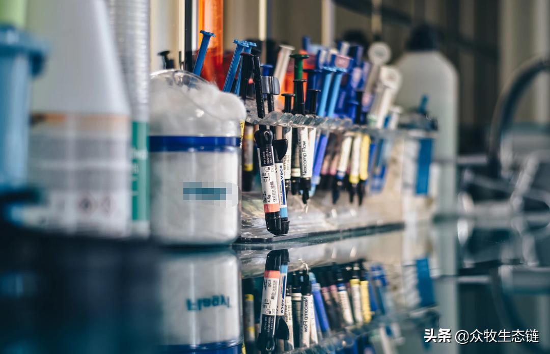 羊羔口蹄疫,小羊羔得了口蹄疫不吃奶怎么办