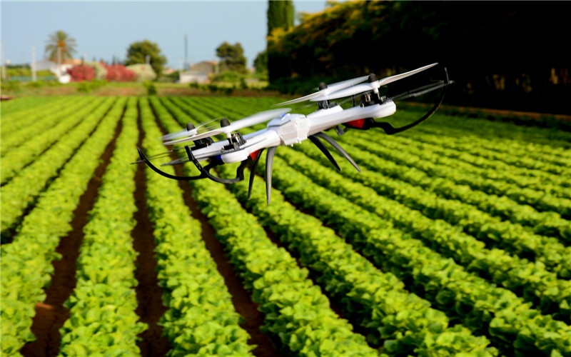 最适合农村人的创业项目有哪些,最有潜力的8大农村创业项目推荐