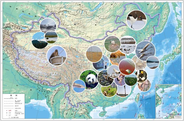 生物多样性保护的有关行动计划,保护生物多样性刻不容缓