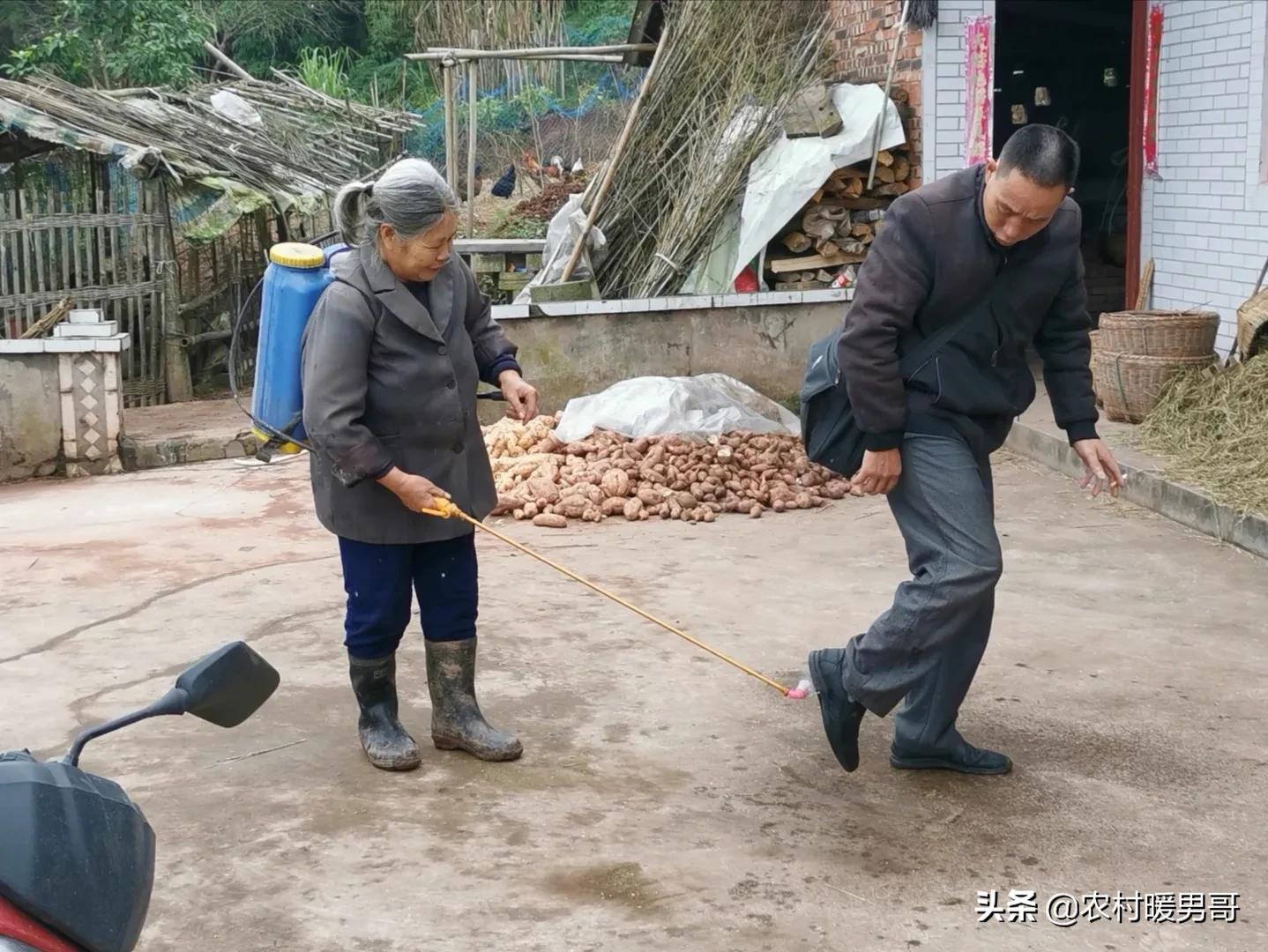 带大家一起走进乡村生活,农村生活带你体验