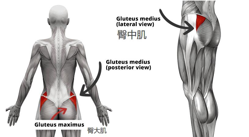 改善扁平臀提升臀线训练,推荐一个激活臀肌的入门级动作