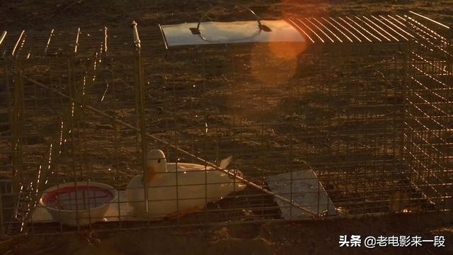 没看过这部电影的还是别看了，已经一天没吃饭了