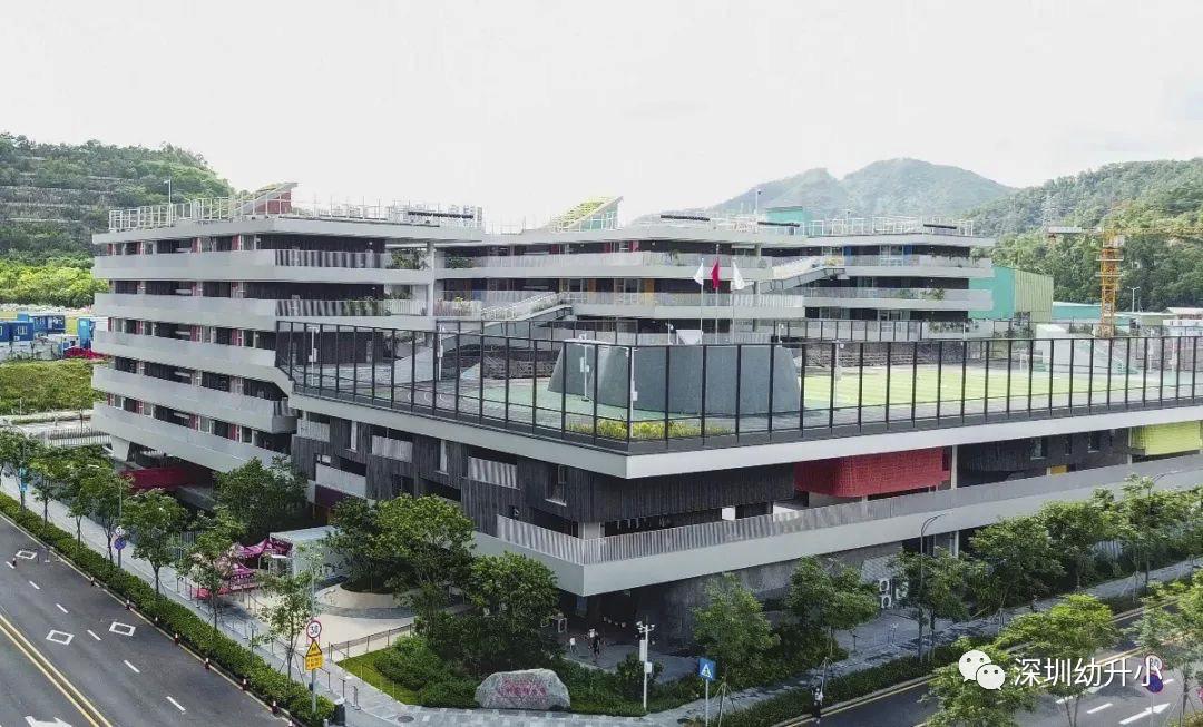 深圳top10学校,深圳初中十大名校排名