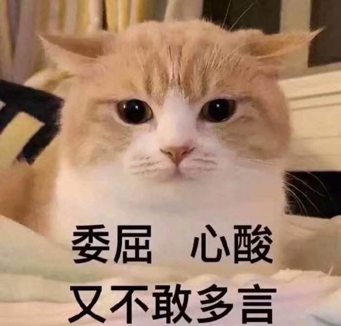家猫特别懒怎么办,自己家蓝猫跑出去怕热怎么办