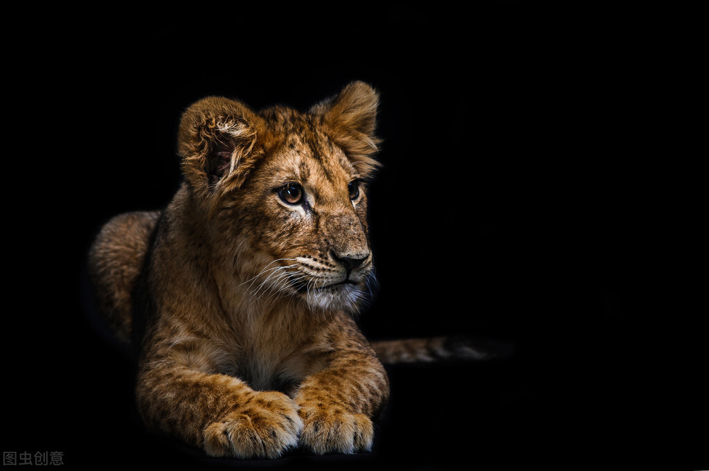 在父母眼里孩子怎么样才算有本事,隐秘是什么等级