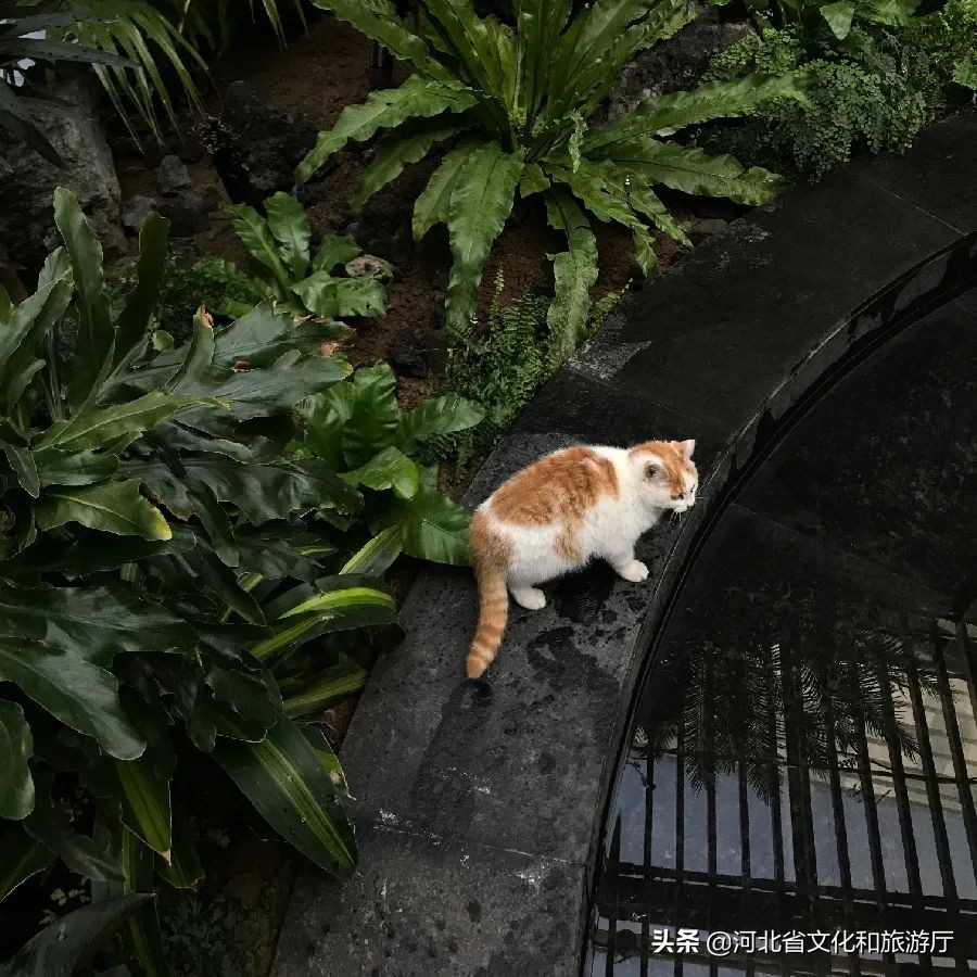 趣玩张家口,趣玩温泉怎么样