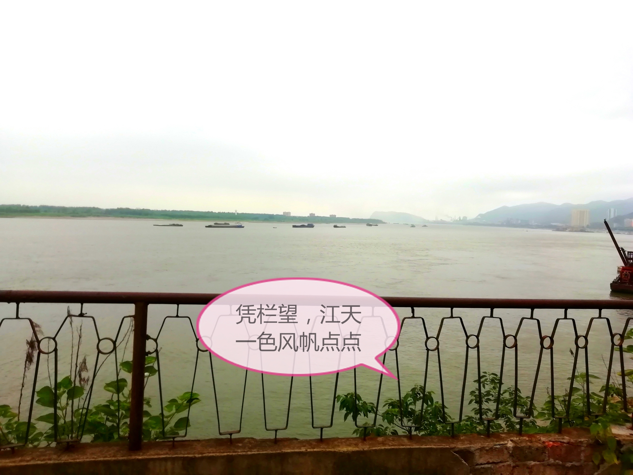 黄石市海观山宾馆怎么样,黄石海观山宾馆始建于何年