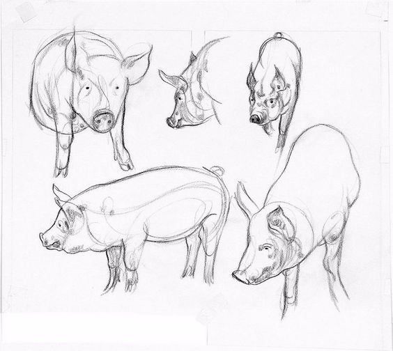 简笔画人物教程大全零基础成人,1000个适合零基础的简笔画教程