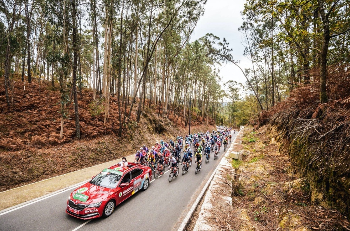 环法为啥用斯柯达汽车,斯柯达环法车队