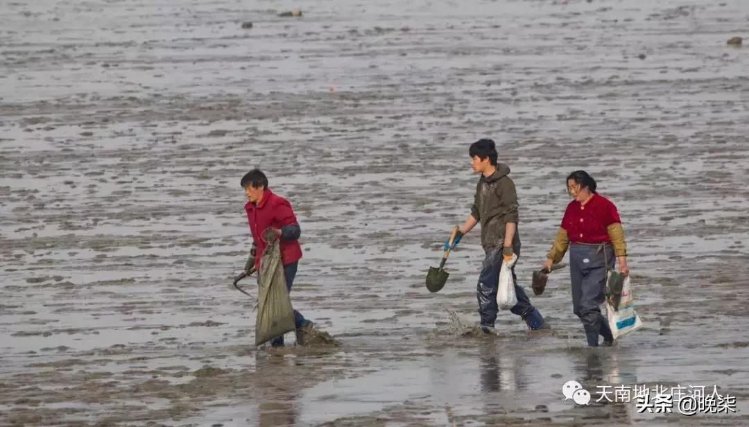 大连庄河赶海排名第一名,庄河赶海网红视频