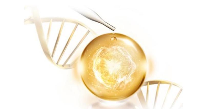 雅诗兰黛精华和雅顿粉胶先用哪个,雅顿和雅诗兰黛精华测评