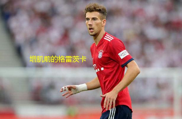 格雷茨卡进攻能力,格雷茨卡增肌