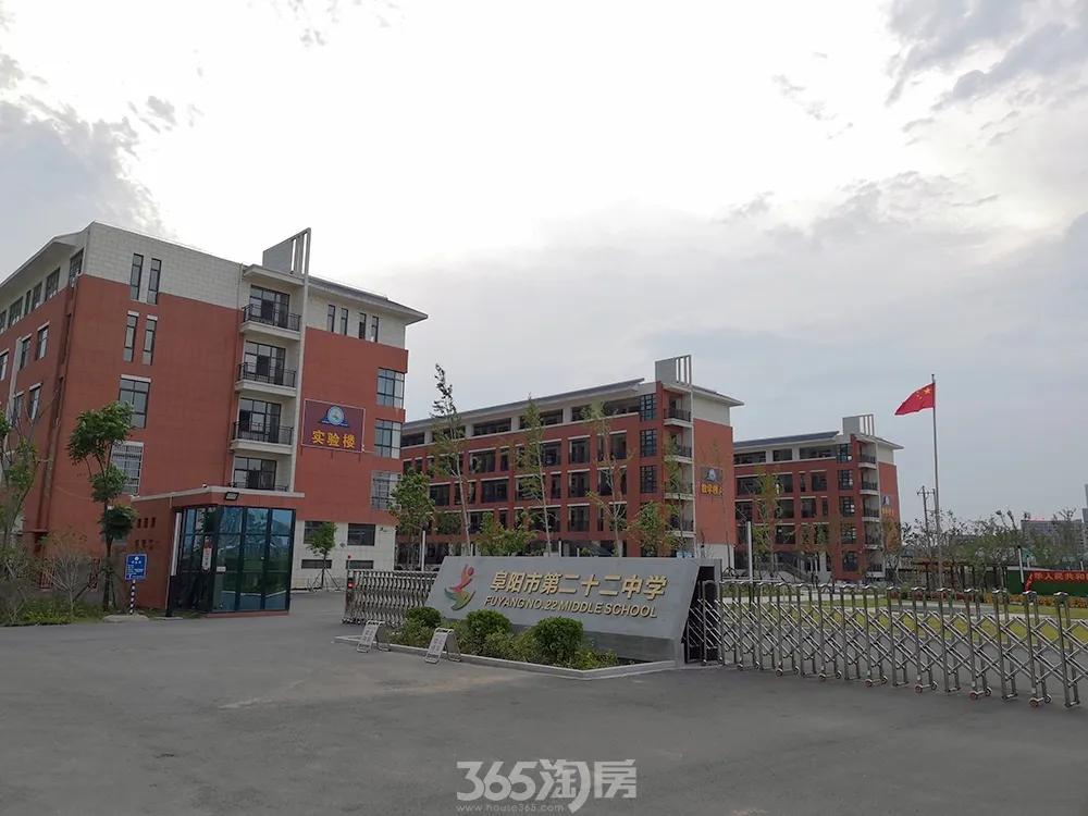 2019限价地块,老城区待拍地块