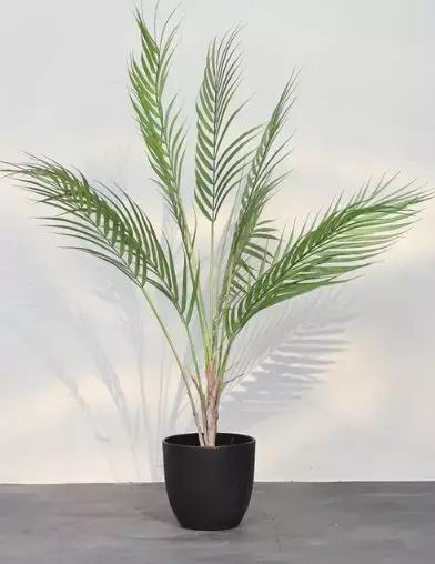 厦门免费房屋改造,厦门旧屋改造出租屋