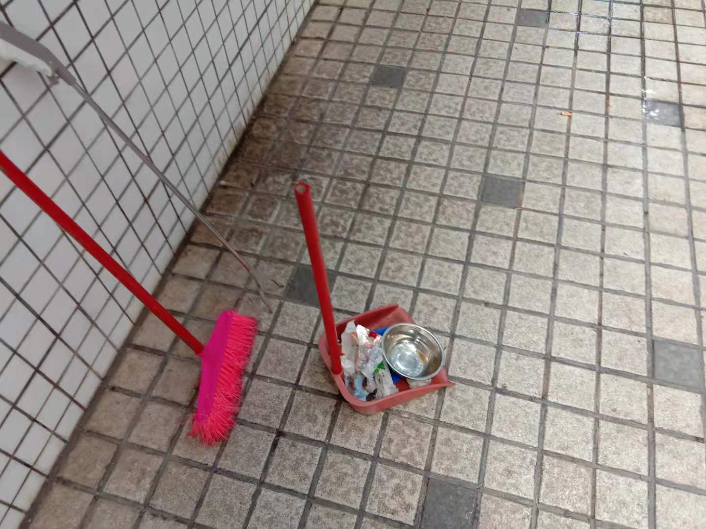 小小鸟完整加长版,小小鸟第二季完整版