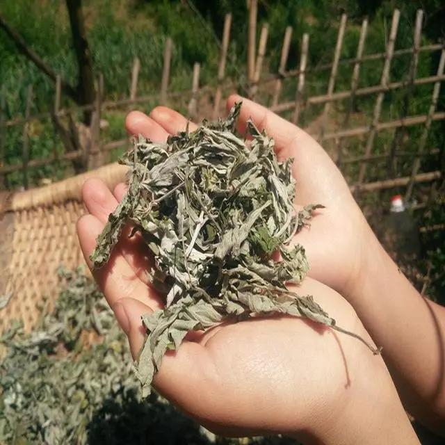 用什么土方法灭蚊子,有什么土办法灭蚊子