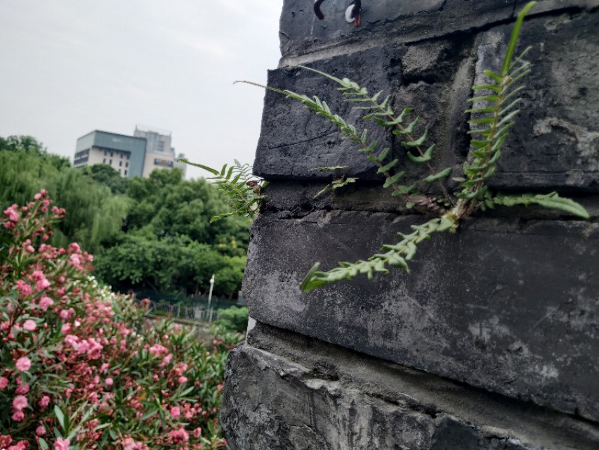 杭州古城门全景图,杭州十大古城门一日游