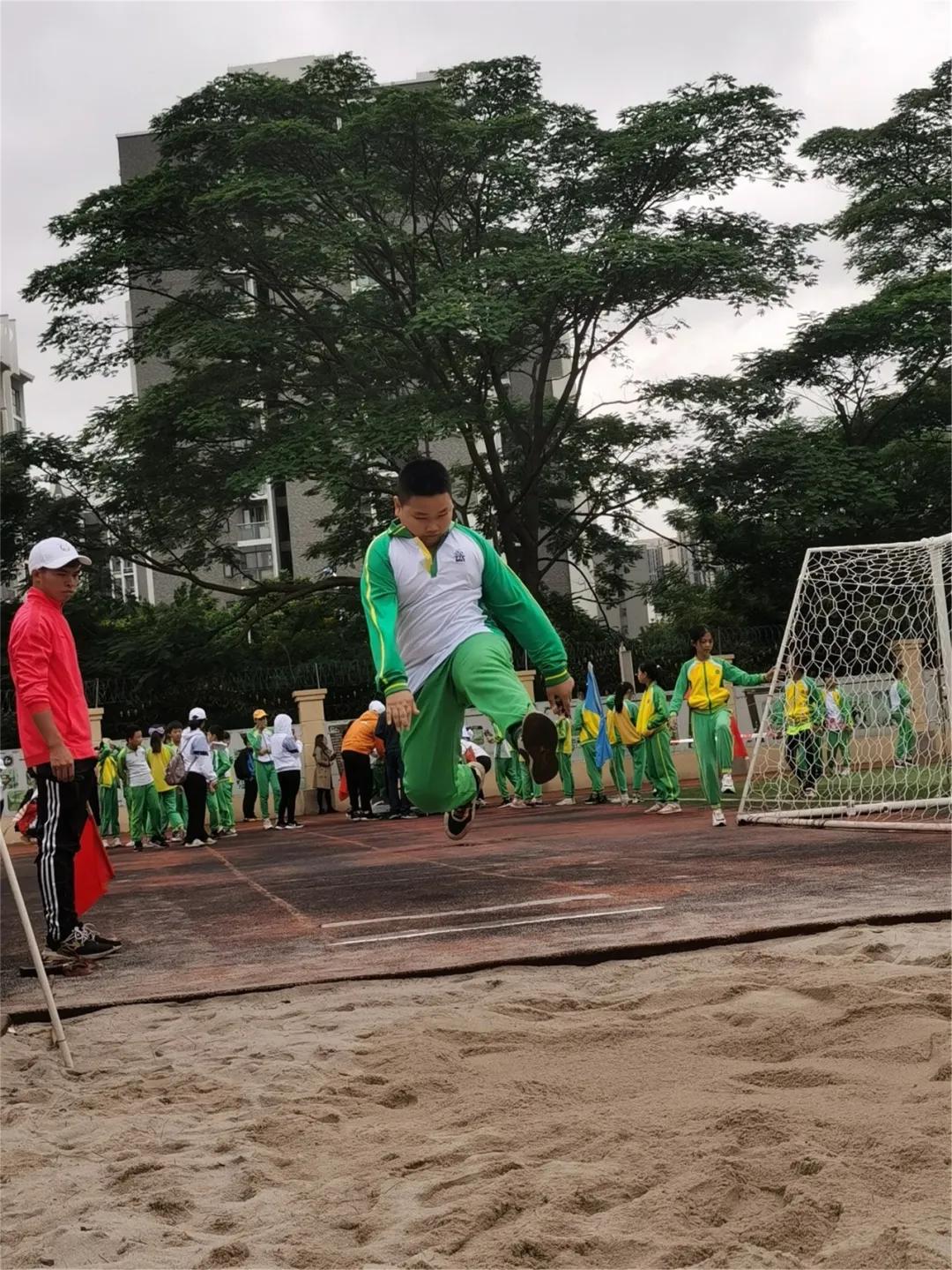 龙腾虎跃展英姿,龙腾虎跃展宏图