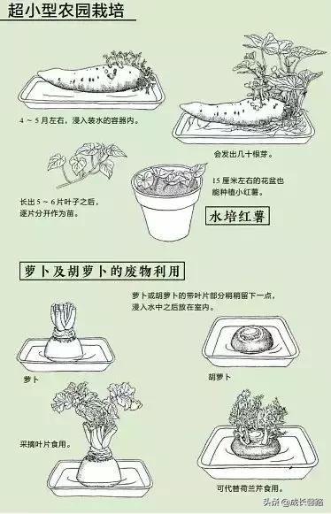 你有多久没和家人一起做游戏了,孩子好玩的游戏适合很多人一起玩