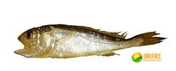 舟山海鲜代加工攻略,最全舟山海鲜攻略