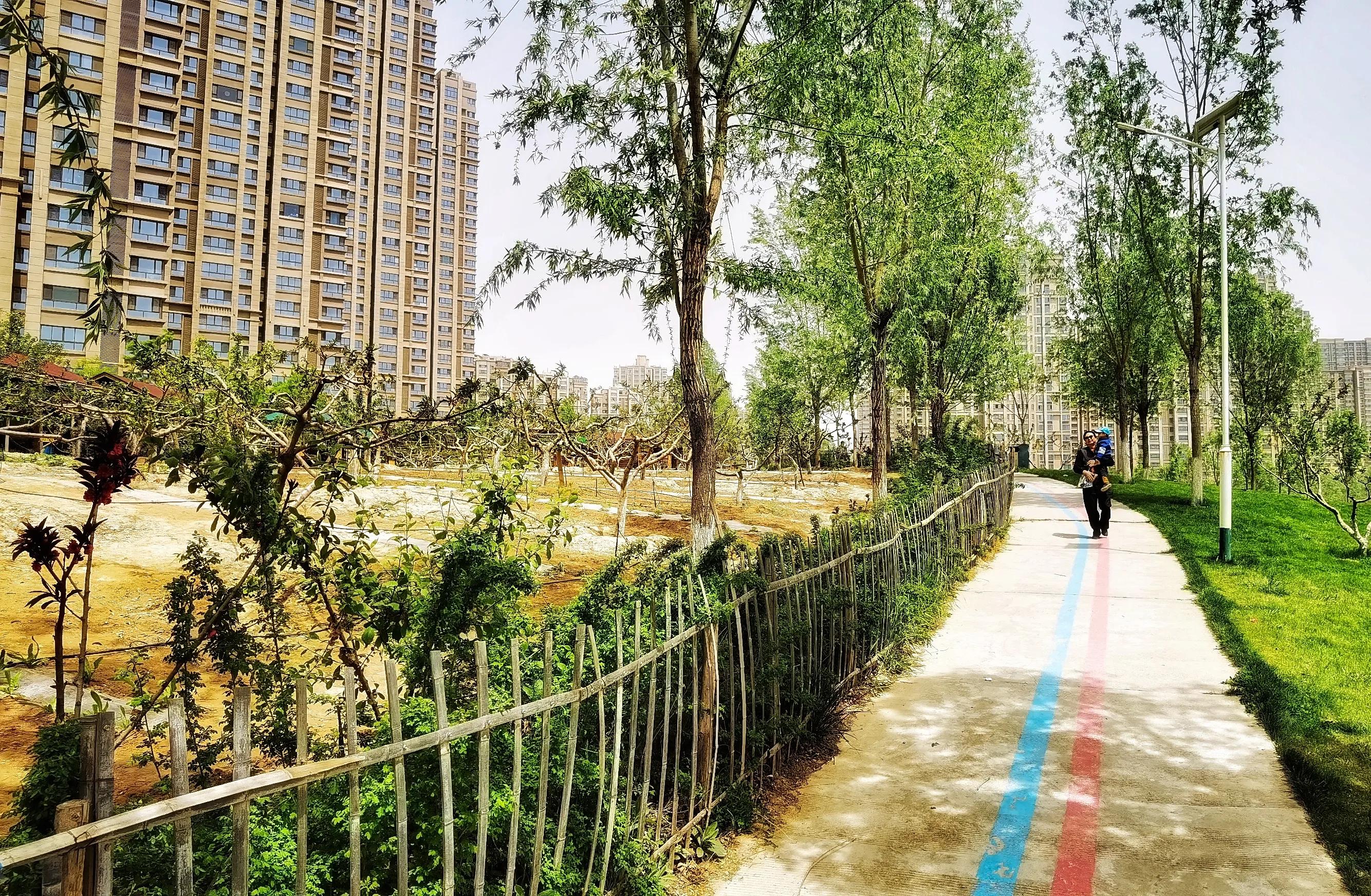 兰州碧桂园凤苑农家乐,兰州凤园农场