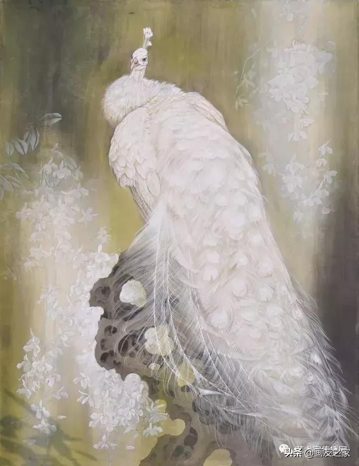 工笔孔雀上色步骤详解,工笔最顶级逼真孔雀画精品