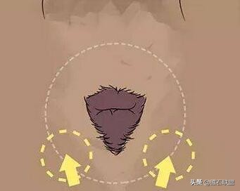 狗狗总是用屁屁蹭主人的腿,狗狗老是用屁股蹭你是什么意思