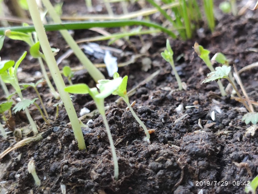 遇到pua该如何应对,遇到pua如何应对