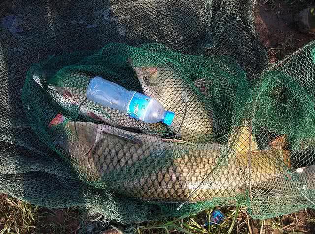 传统钓小杂鱼闹窝怎么办,应对小杂鱼闹钩方法技巧