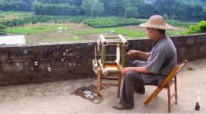 李子柒田园生活的魅力在哪里,当李子柒看到了不一样的田园生活