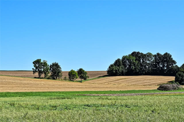 签证录指纹要多久,加拿大签证如何预约录指纹