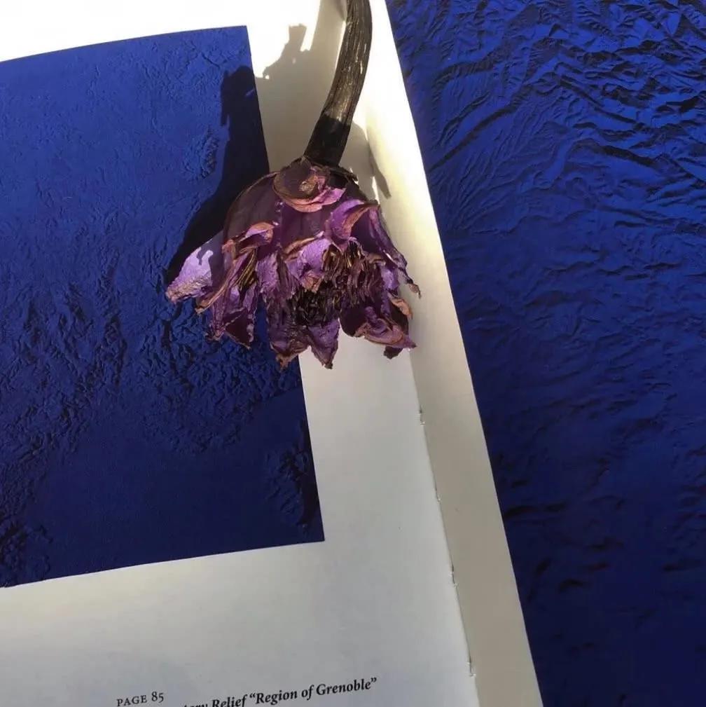 朋友圈背景图有病,朋友圈背景图包