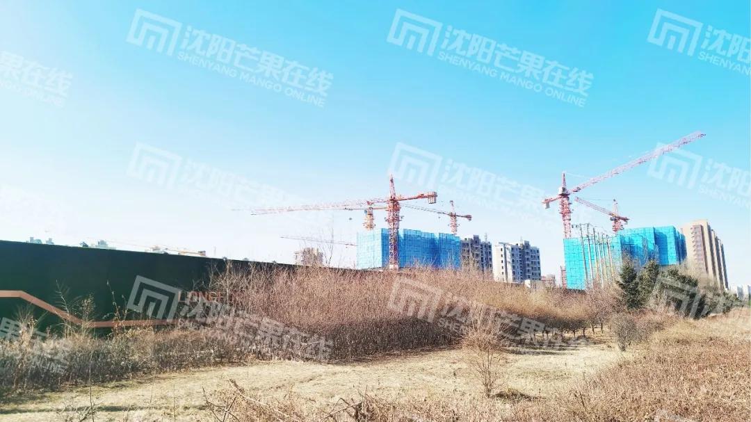 神了！大东某盘竟然日销3500万