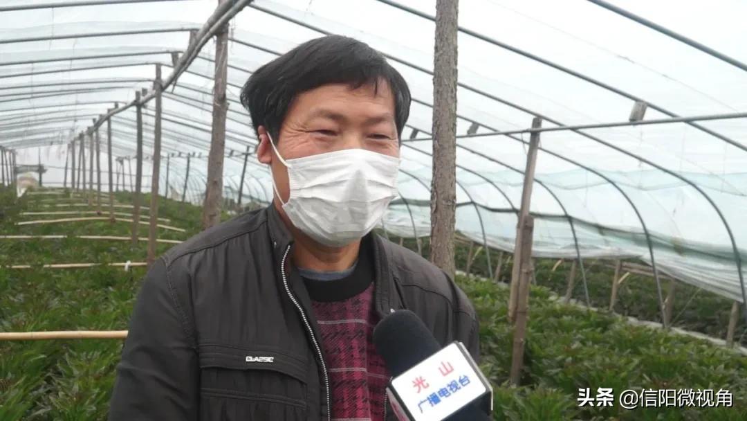 信阳光山蔬菜直通车开进北京城,蔬菜直通车进家门口