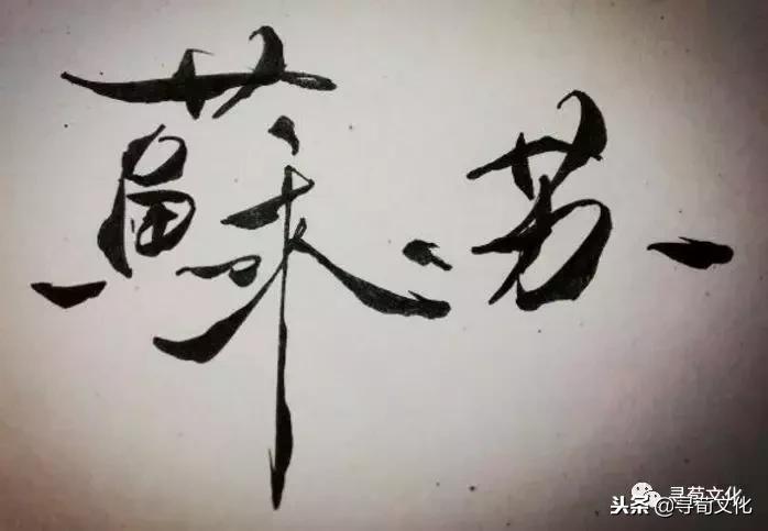 鑻忕殑濮撴皬瀛椾綋,鐢ㄦ眽瀛楁枃鍖栫煡璇嗗垎鏋愯嫃杩欎釜濮撴皬