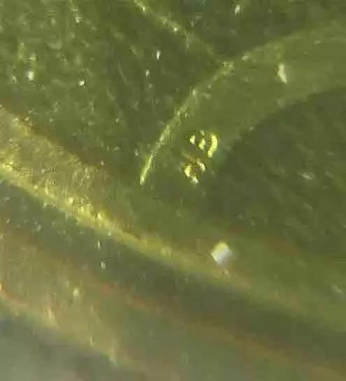 第一轮生肖流通纪念币暗记,流通纪念币图册