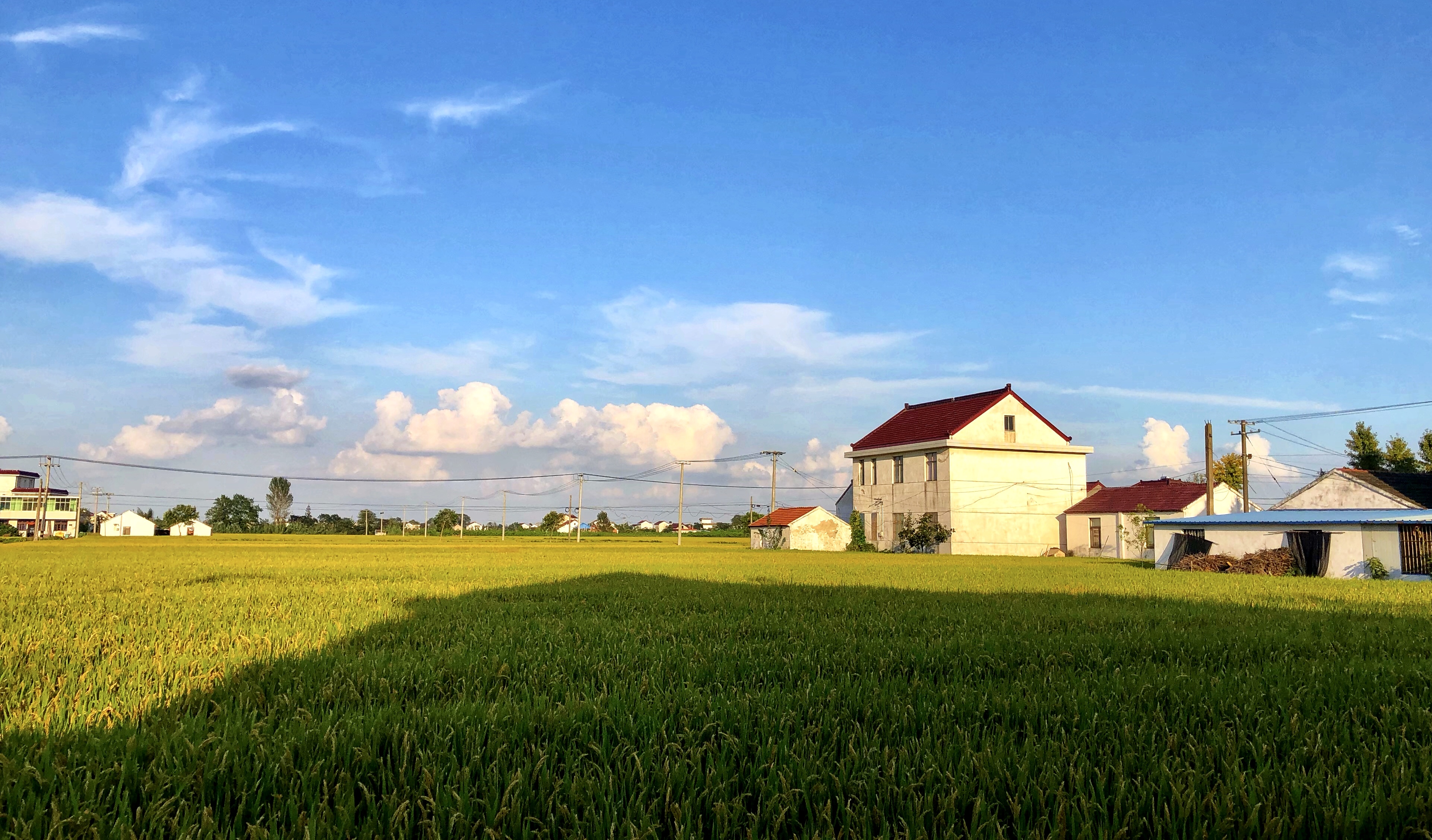 苏北人评价江西农村,江西女吐槽苏北农村差距太大
