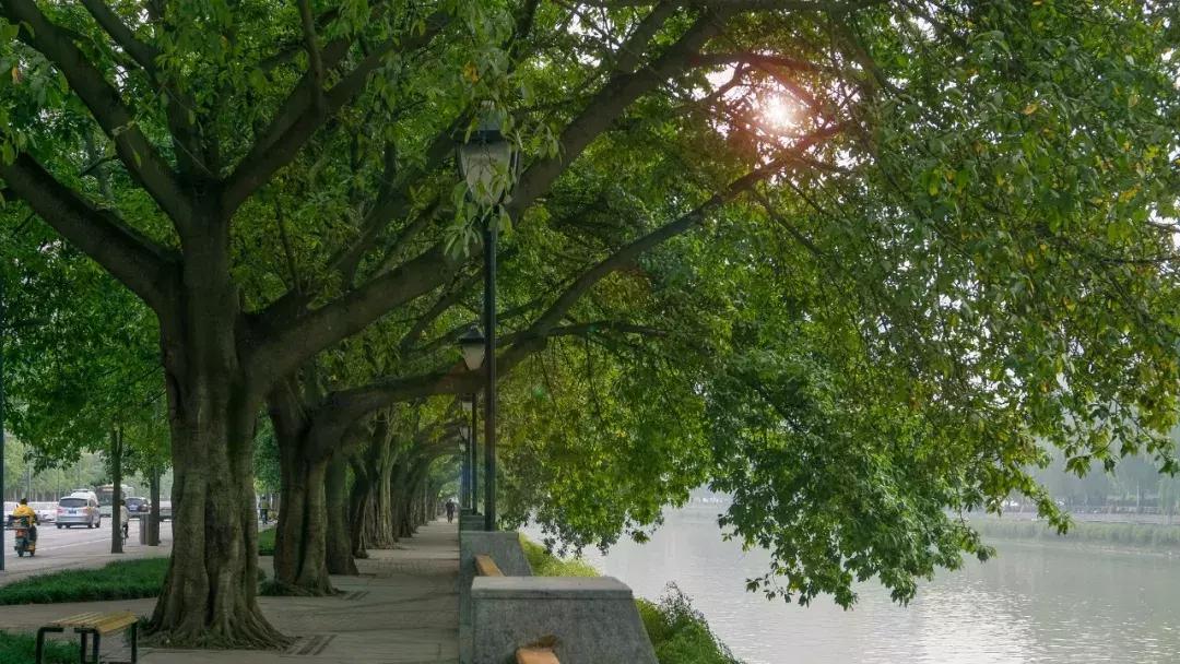 新南门，成都人听到这三个字就是包不住的清口水，走起~