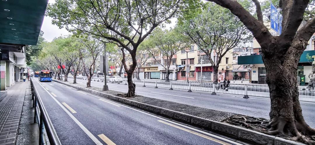 肺炎时期的情人节，广州街头是怎么样的？