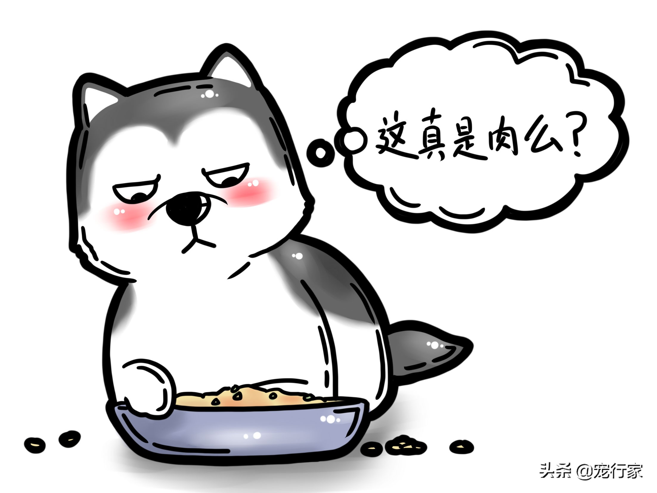 狗狗的毛很柴怎么办,狗狗的毛很干枯