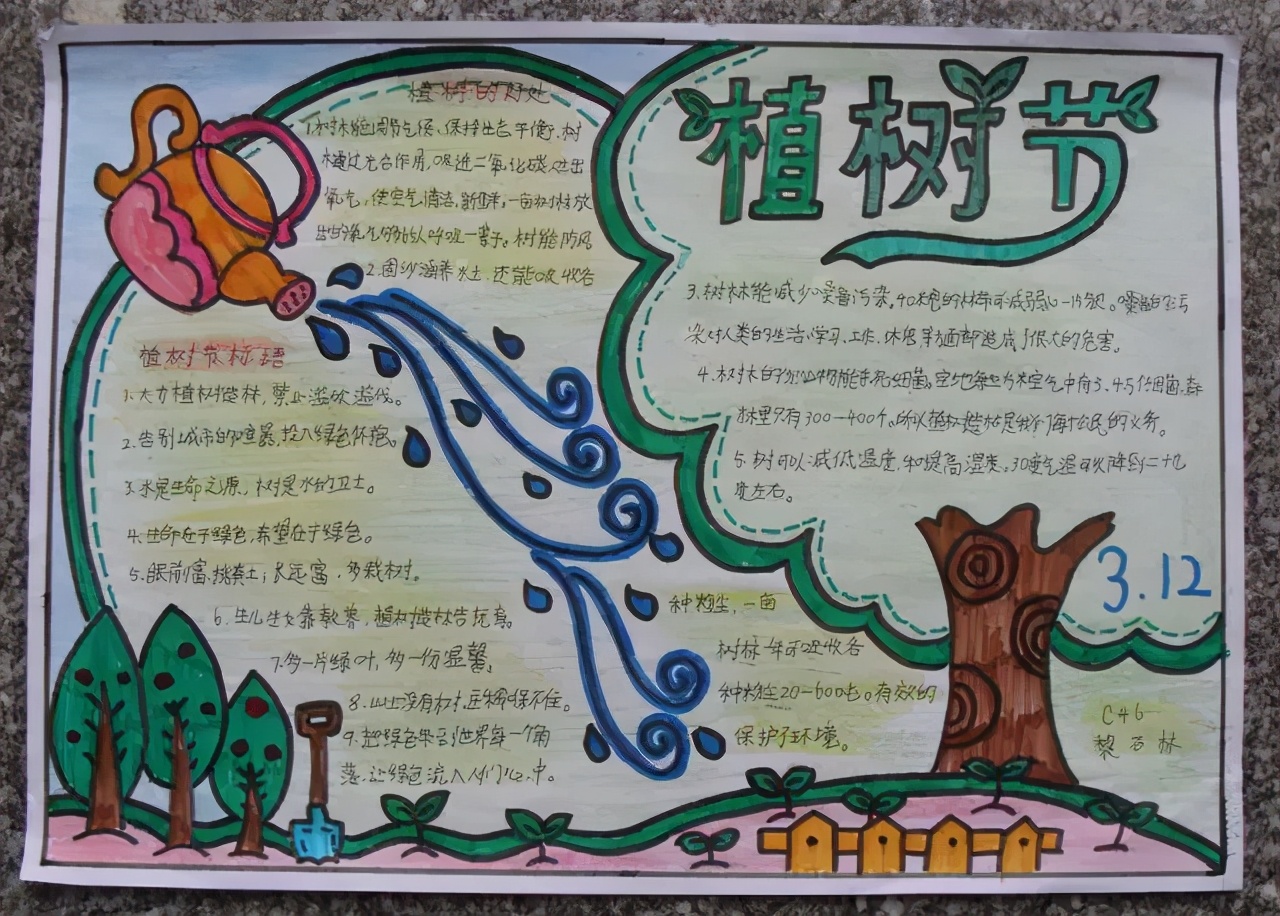 3.12植树节手抄报素材+模板+1~6年级作文范文，快收藏