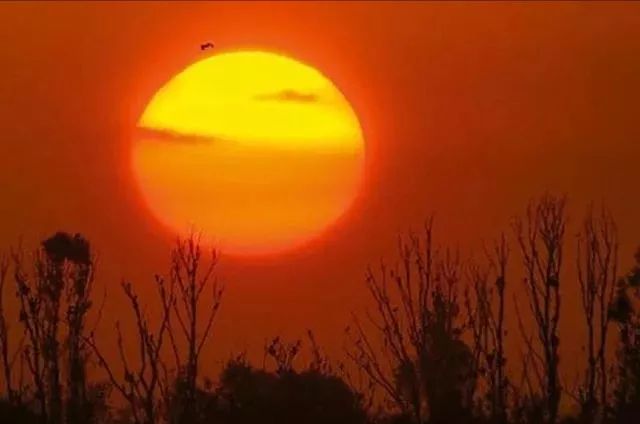 浸入阑珊｜文：这把伞诵：何家睦指导老师：孔凡美