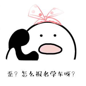 2019拿到驾驶证,2019拿到了驾照