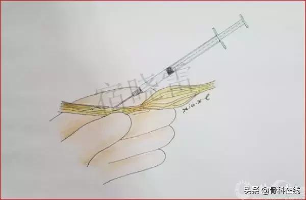 手绘科普类,手绘类科普