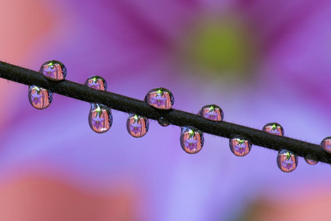 香港第14届全国摄影艺术展,第29届全国摄影艺术展览获奖名单