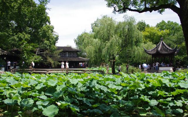 苏州拙政园园林借景,苏州拙政园唯美意境