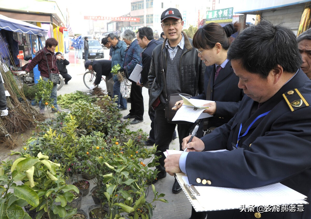 农技推广站和农业执法大队哪个好,农村农业局综合执法大队