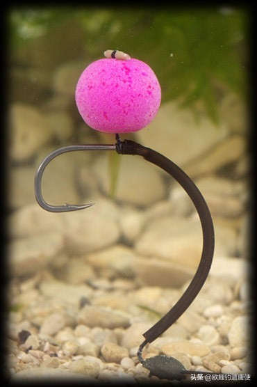 话说欧鲤钓诱饵篇,枯叶钓组和线辫钓组区别